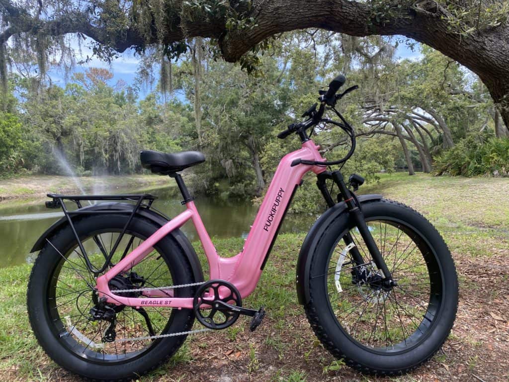 Puckipuppy Beagle 2 ST ebike